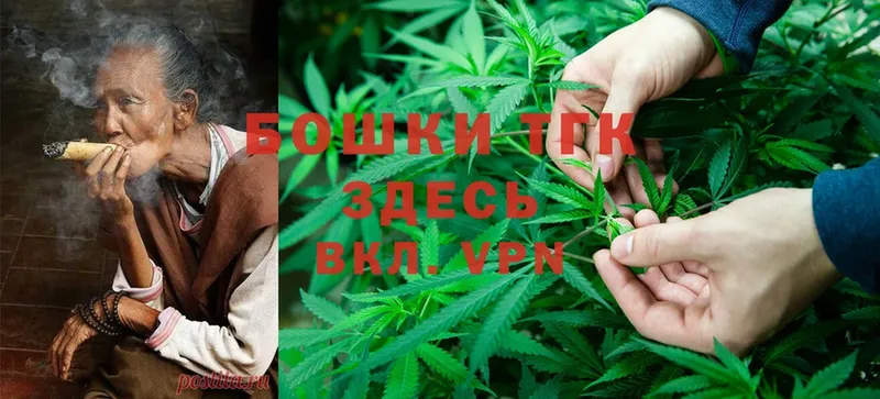 Бошки Шишки OG Kush  Грязовец 